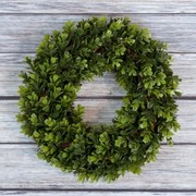 Nature Spring Boxwood Wreath, Artificial Wreath for the Front Door, Home Decor, UV Resistant - 12 Inches 109755APT